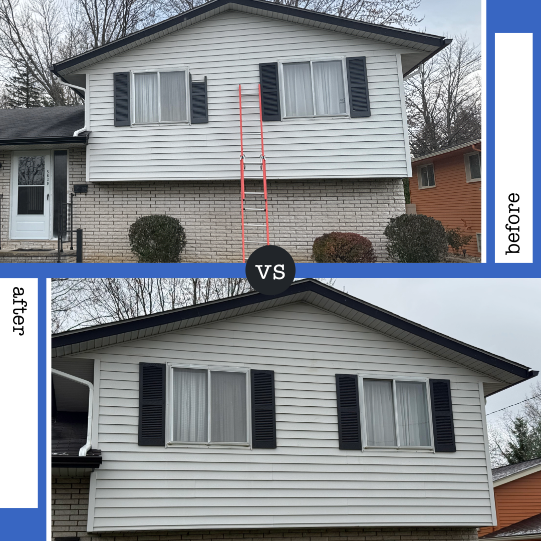 Repairs - June Seminetore - Shutters